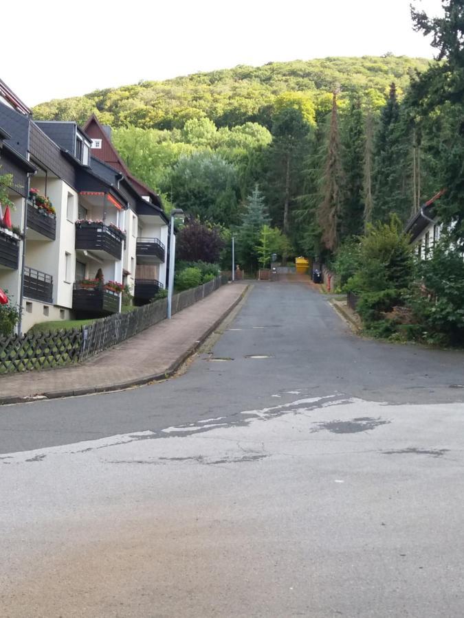 Ferienwohnung Malia In Waldnaehe Mit Schoenem Balkonausblick 바트하르추부르크 외부 사진