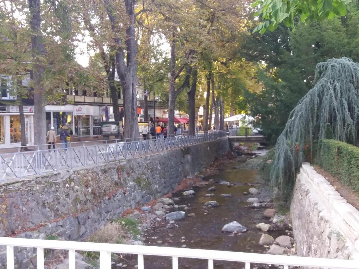 Ferienwohnung Malia In Waldnaehe Mit Schoenem Balkonausblick 바트하르추부르크 외부 사진